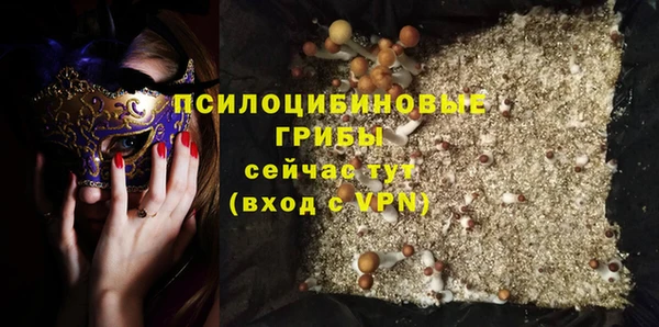 соль ск Балахна