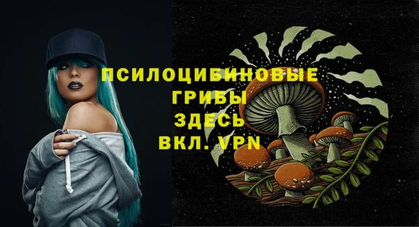 apvp Баксан