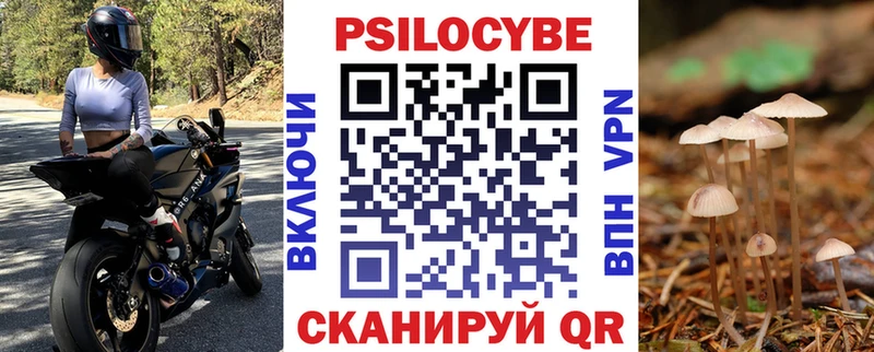 Псилоцибиновые грибы Psilocybe  Обоянь 